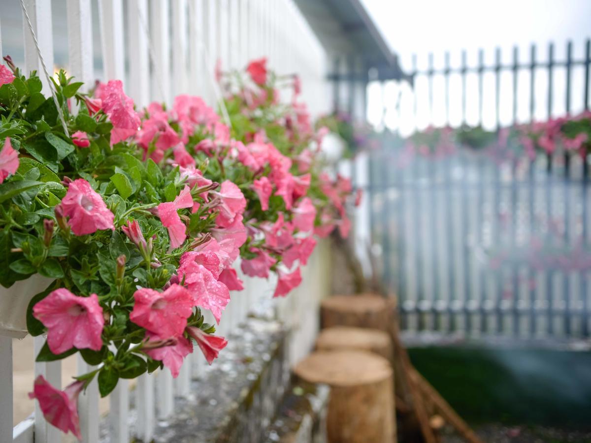 Bonjour Dalat Hostel Exterior photo